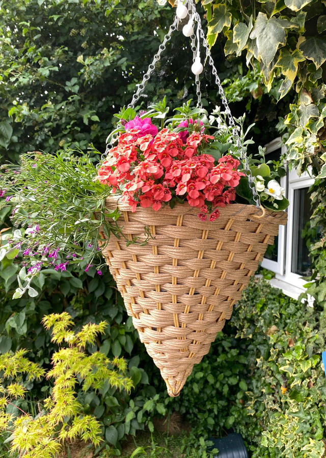 Hanging Baskets 2