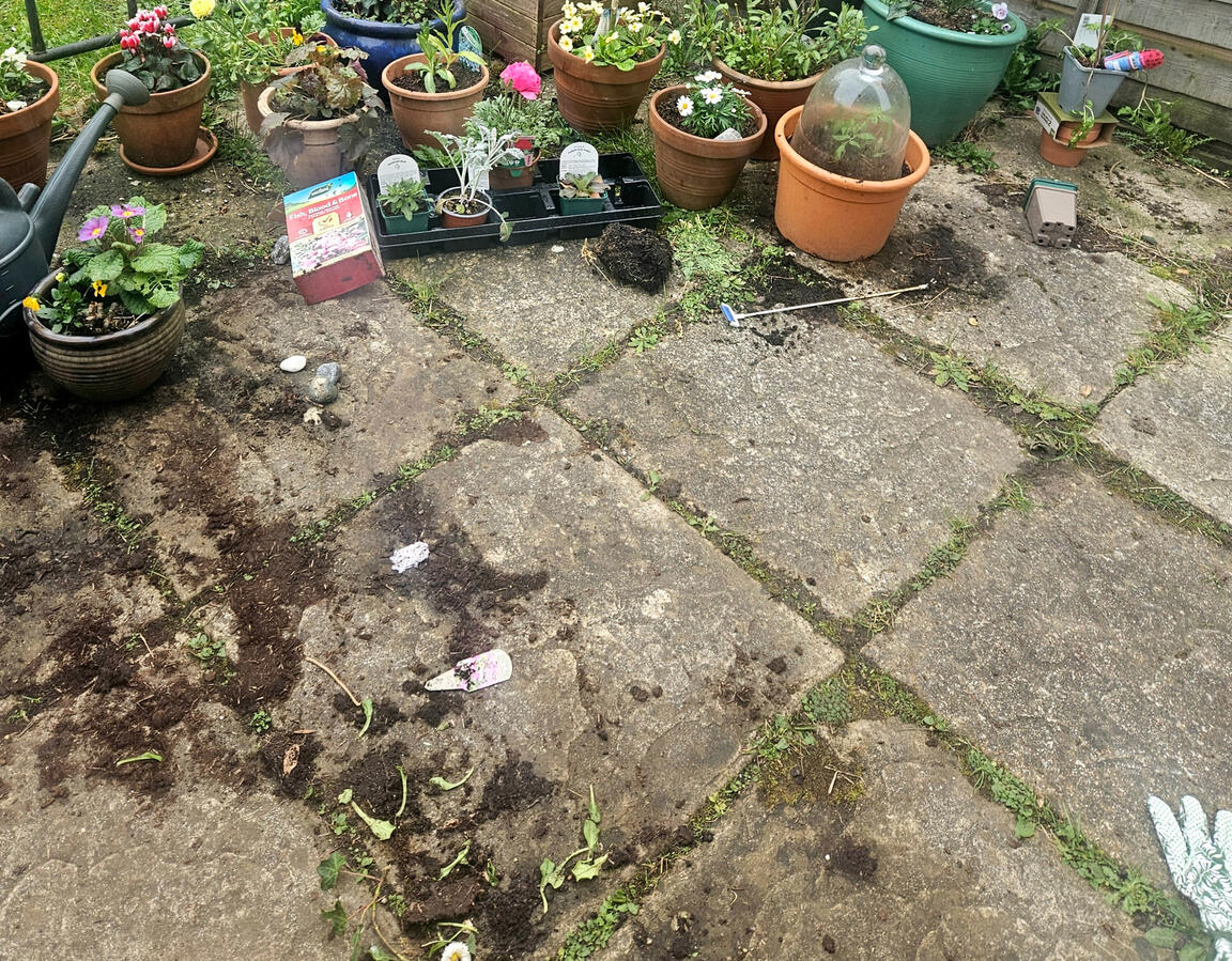 Patio before